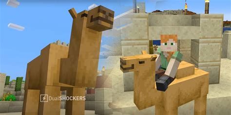 What to Feed Camels in Minecraft: Exploring the Culinary Preferences of Virtual Dromedaries